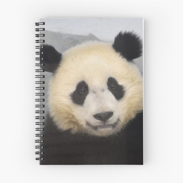 Item preview, Giant Panda Xiao Qi Ji at the National Zoo designed and sold by Zoo and Nature Photography by Karie.