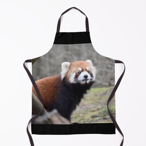 Item preview, Red Panda at the Cincinnati Zoo designed and sold by Zoo and Nature Photography by Karie.