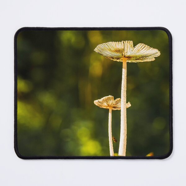 Item preview, Wright's pillars designed and sold by Joel Bader.