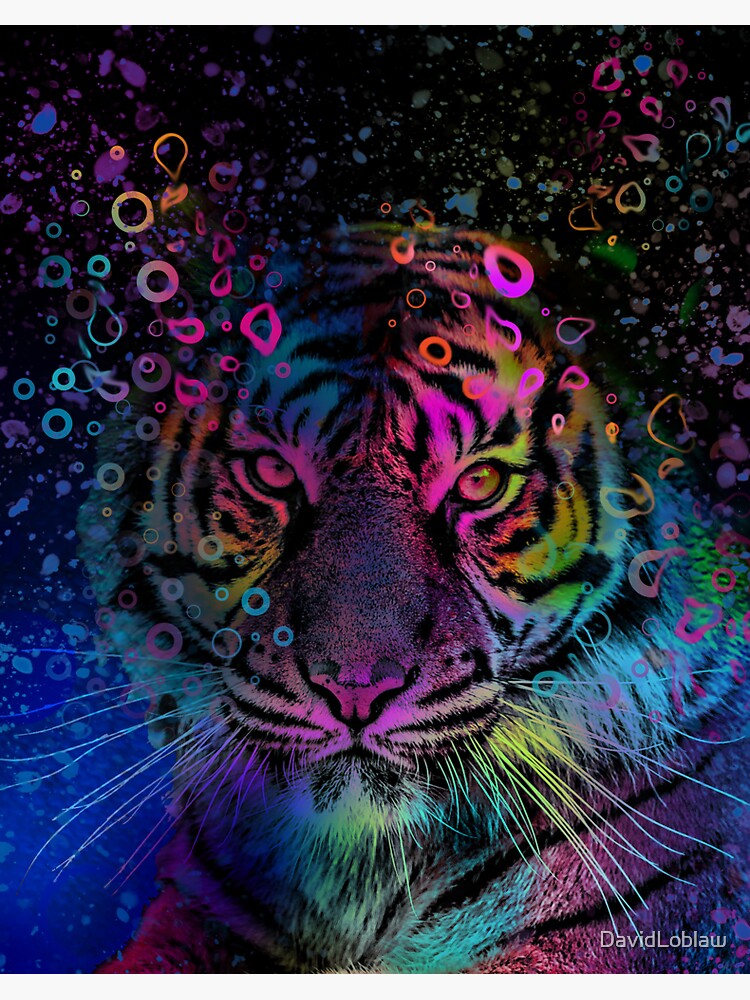 "Water Tiger 2022" Sticker for Sale by DavidLoblaw Redbubble