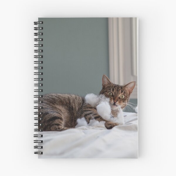 Item preview, Bad Kitty designed and sold by Spring Reilly.