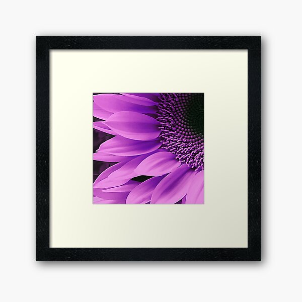Item preview, Lilac Sunflower Fine Art Macro Art Photo designed and sold by DEC02.