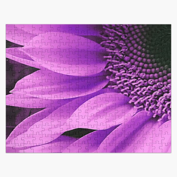 Artikel-Vorschau von Lila Sonnenblume-Kunst-Makrokunst-Foto, designt und verkauft von DEC02.