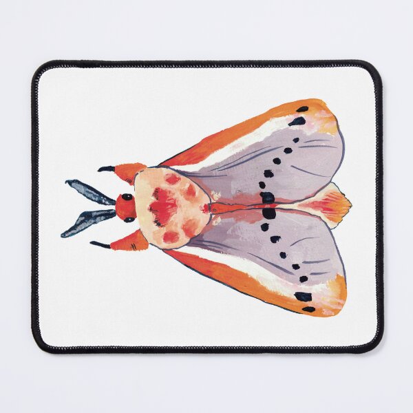 Item preview, Rosy Flannel Moth (Trosia nigropunctigera) designed and sold by joy-wanam.