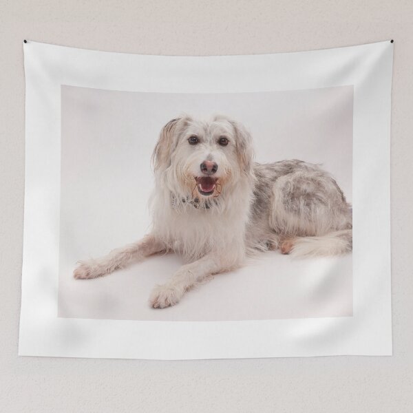 Item preview, Portrait of a smiling shaggy white and grey dog designed and sold by Spring Reilly.