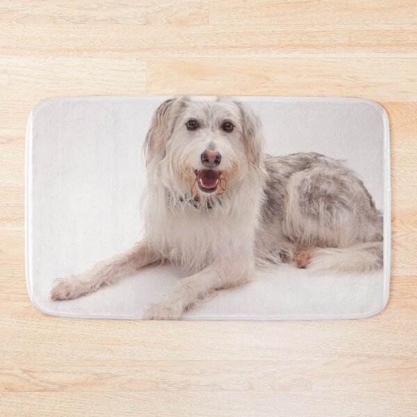 Item preview, Portrait of a smiling shaggy white and grey dog designed and sold by Spring Reilly.