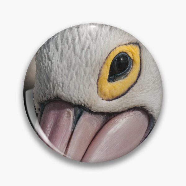 Item preview, The Pelican Look designed and sold by Werner Padarin.
