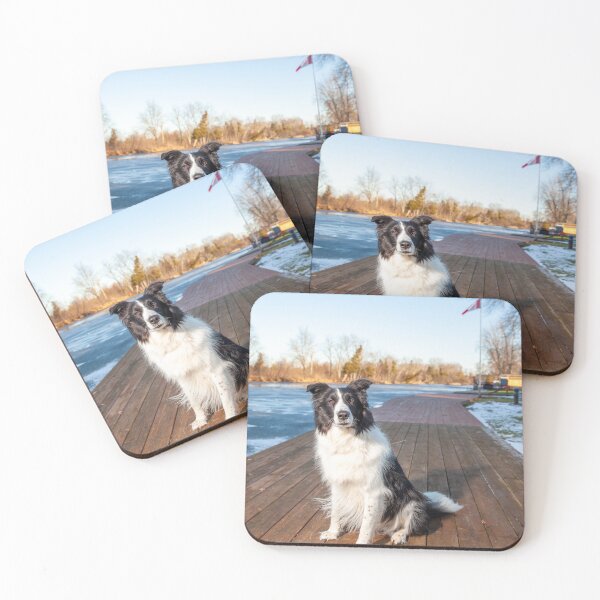 Item preview, Border Collie on a Dock designed and sold by Spring Reilly.