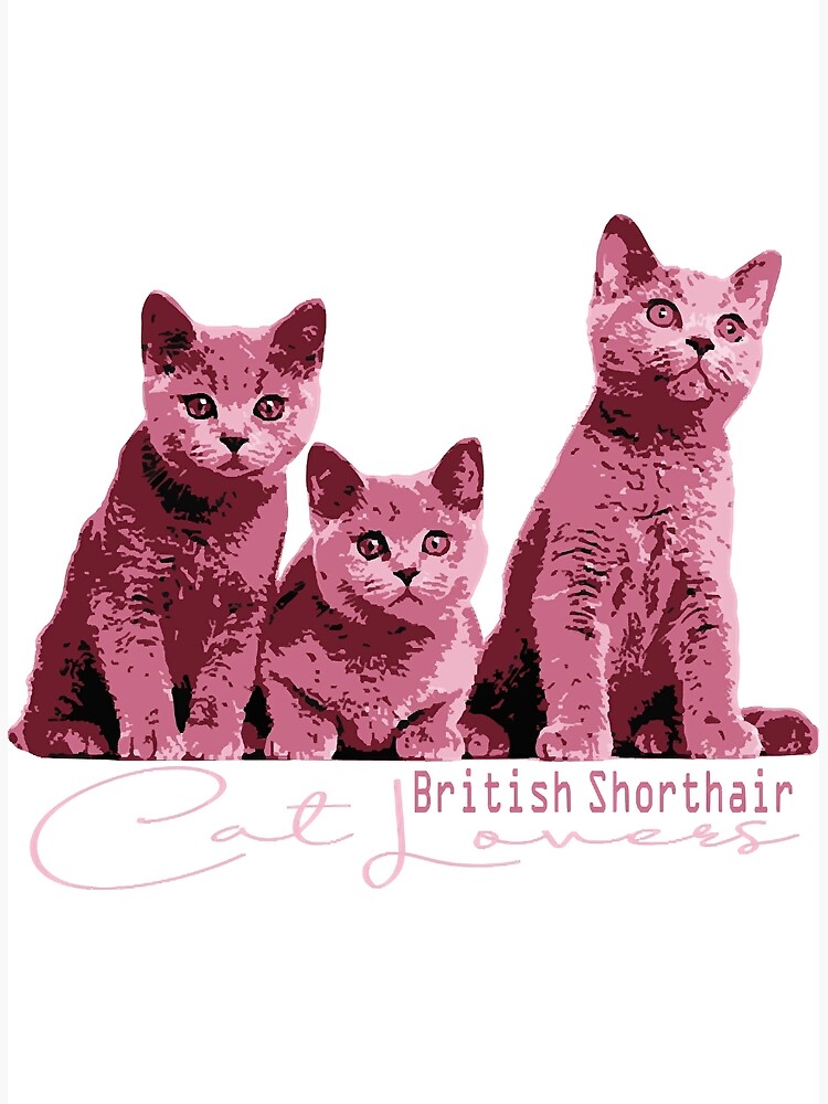 "British Shorthair design, pink British Shorthair " Poster for Sale by