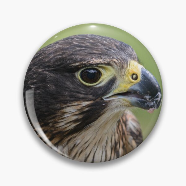 Item preview, Falcon designed and sold by Werner Padarin.