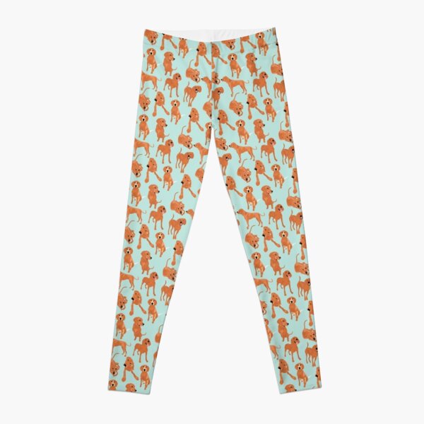 Dog Leggings for Sale