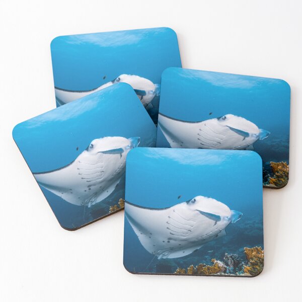 Item preview, Swimming pretty Manta ray at the coral reef designed and sold by tank200bar.