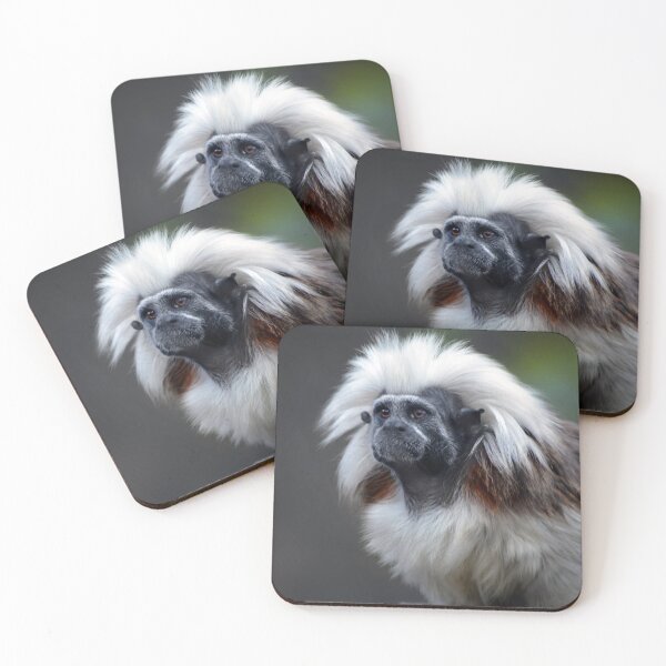 Item preview, Cotton Topped Tamarin  designed and sold by Savannah Gibbs.