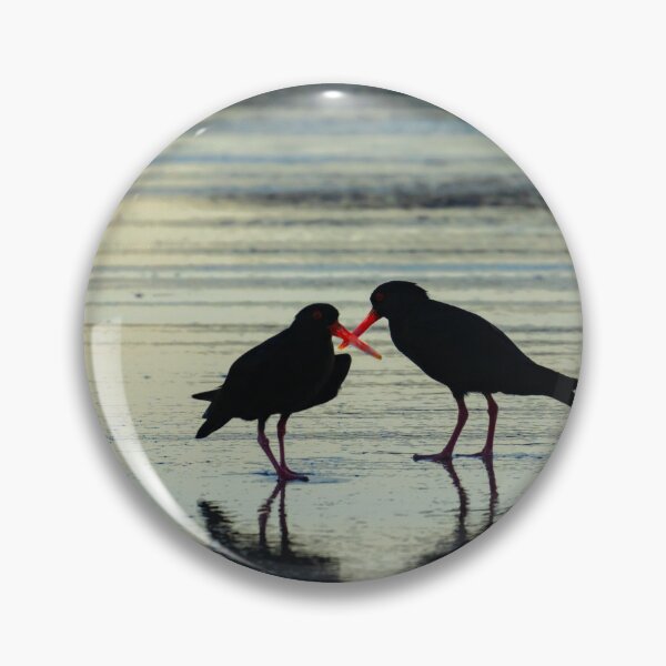 Item preview, Two black oystercatchers silhouetted with orange beaks crossed, back-lit. designed and sold by Brian Scantlebury.