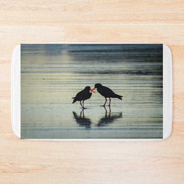 Item preview, Two black oystercatchers silhouetted with orange beaks crossed, back-lit. designed and sold by Brian Scantlebury.