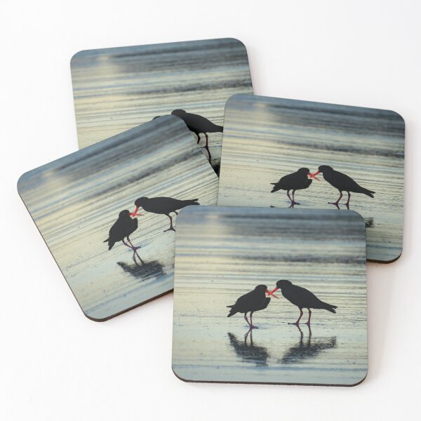 Item preview, Two black oystercatchers silhouetted with orange beaks crossed, back-lit. designed and sold by Brian Scantlebury.
