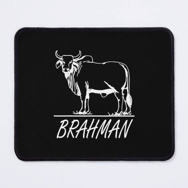 Item preview, Zebu Cattle, Brahma Bulls, Brahman Cow Milk Yield.png designed and sold by Underground2r.