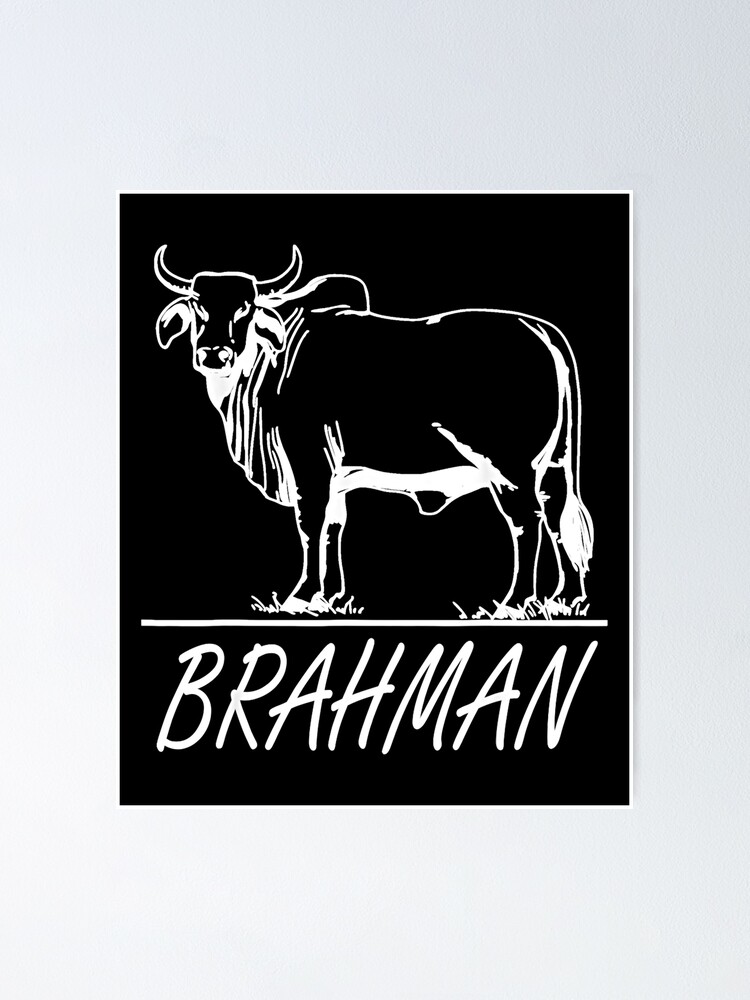 Brahman logo(pc) | Brahman, Google images, Jpg