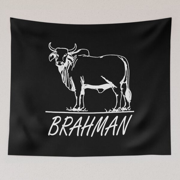 Item preview, Zebu Cattle, Brahma Bulls, Brahman Cow Milk Yield.png designed and sold by Underground2r.