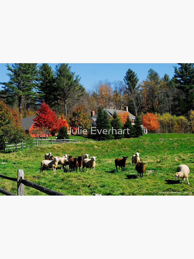 Sheep Farm in the Vermont Countryside by julev69