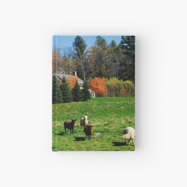 Sheep Farm in the Vermont Countryside Hardcover Journal