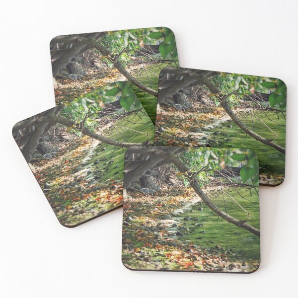 Item preview, Myers Big Island State Park designed and sold by Isla Creek Casuals.