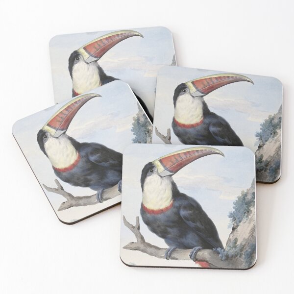 Item preview, Red-billed Toucan by Aert Schouman  designed and sold by TheCurators.
