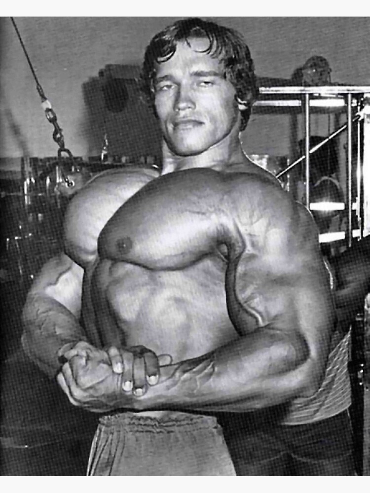 arnold palmer lebron