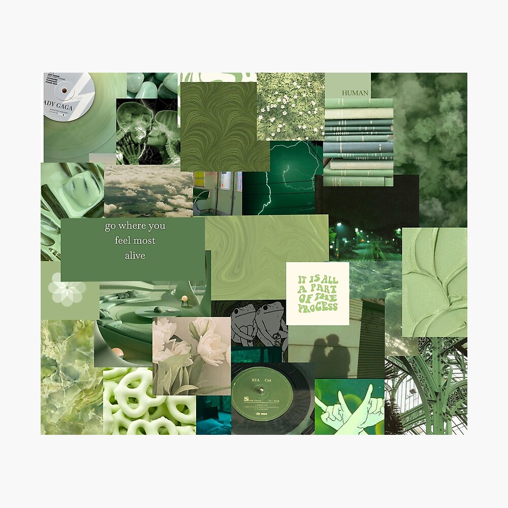sage green aesthetic collage Photographic Print for Sale by mynameiszara   Redbubble