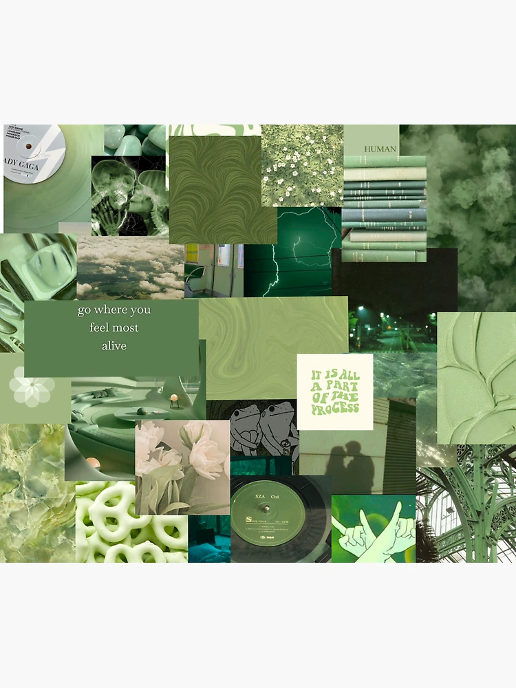 Aesthetic Sage Green Collage Sticker for Sale by Simplyjwdesigns