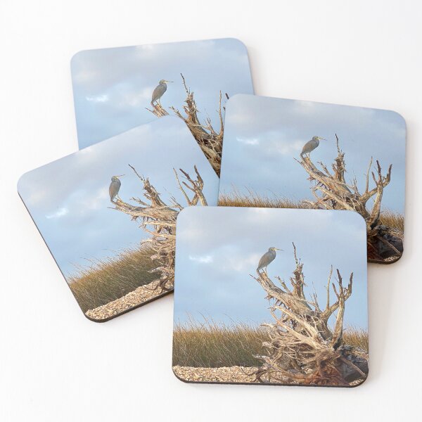 Item preview, Coastal Florida Wildlife designed and sold by TKPhotos.