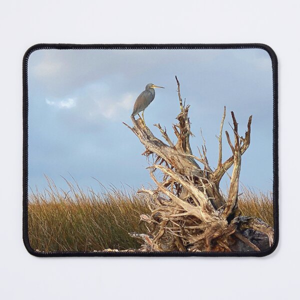 Item preview, Coastal Florida Wildlife designed and sold by TKPhotos.
