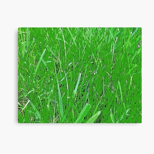 "Green grass texture color art" Canvas Print for Sale by artdragongift