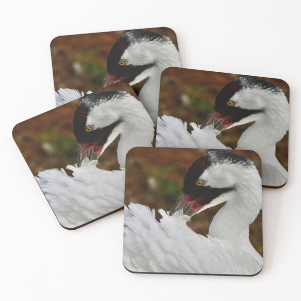 Item preview, Pretty Preening Whooping Crane designed and sold by richardbryce.