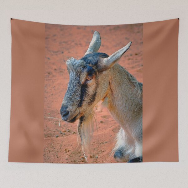 Item preview, Goat designed and sold by Savannah Gibbs.