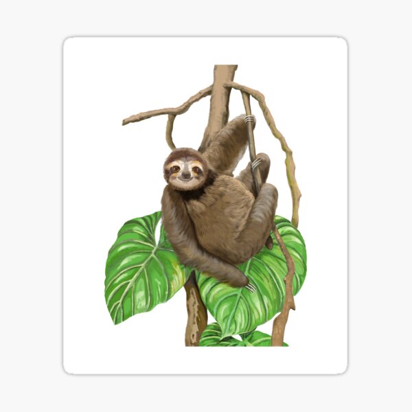 Cute low Hanging Sloth on the Vine enjoying Life. Sticker