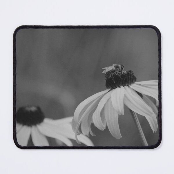 Item preview, Blackeyed Susan flowers and bee - Black and white nature photography designed and sold by CarolinaReina.