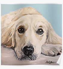 Golden Retriever Art Poster