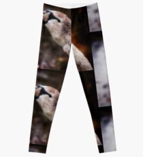 The Lone Cygnet Leggings