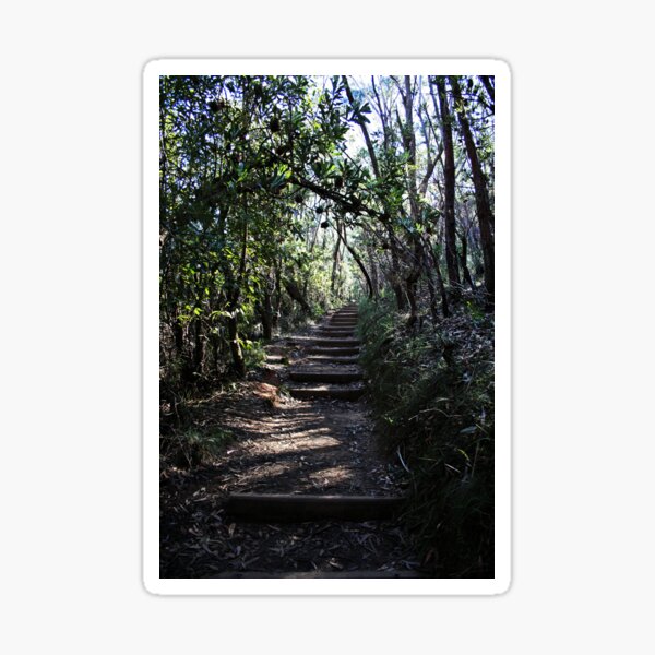 Item preview, Bushwalk designed and sold by Evita.
