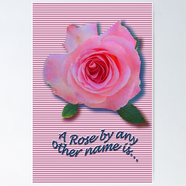 Item preview, A Rose to remember LOVE by! designed and sold by DAdeSimone.