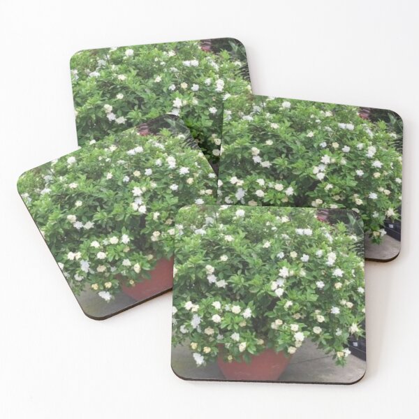 Item preview, Pot flower plant designed and sold by Saiamrita123.