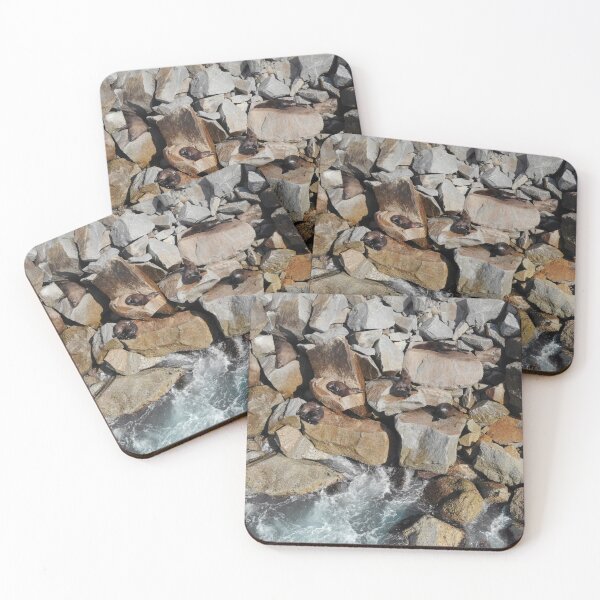 Item preview, Seals on rocks  designed and sold by jemmurphy23.