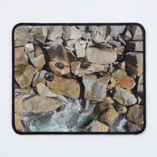 Item preview, Seals on rocks  designed and sold by jemmurphy23.
