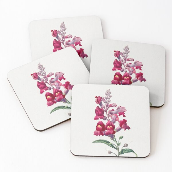 Item preview, Anterinum from Choix des plus belles fleurs by Pierre-Joseph Redouté designed and sold by InHerits.