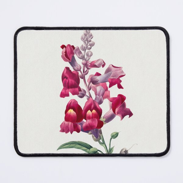 Item preview, Anterinum from Choix des plus belles fleurs by Pierre-Joseph Redouté designed and sold by InHerits.
