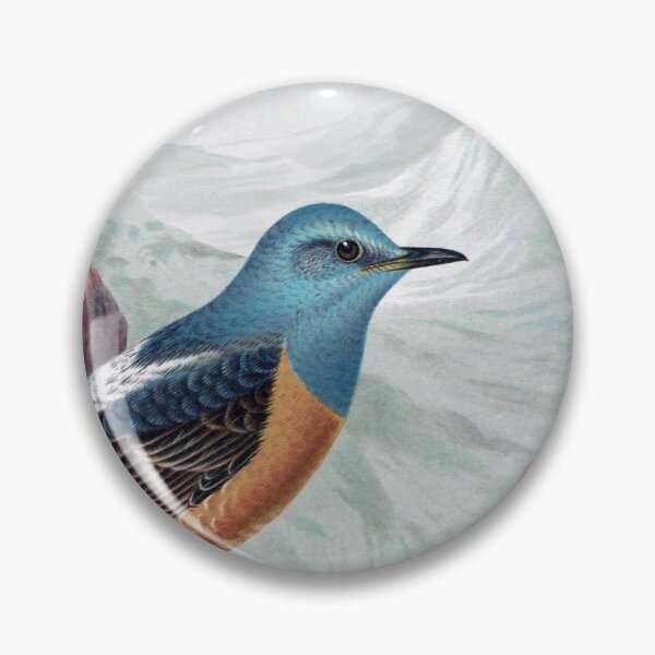 Item preview, Common Rock Thrush (Monticola saxatilis) by Johann Friedrich Naumann  designed and sold by TheCurators.