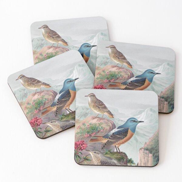 Item preview, Common Rock Thrush (Monticola saxatilis) by Johann Friedrich Naumann  designed and sold by TheCurators.