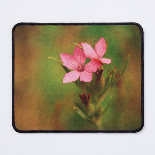 Item preview, Blooming centuary designed and sold by HomoViator.