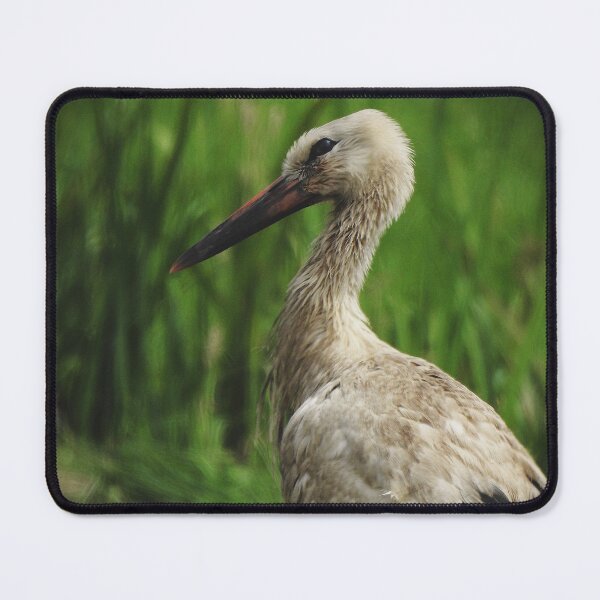Item preview, Stork (Ciconia ciconia) designed and sold by StudioRedKite.